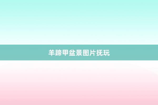 羊蹄甲盆景图片抚玩
