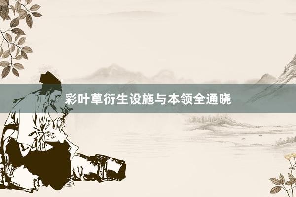 彩叶草衍生设施与本领全通晓