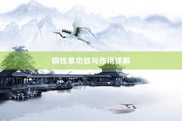 铜钱草功效与作用详解