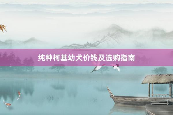 纯种柯基幼犬价钱及选购指南