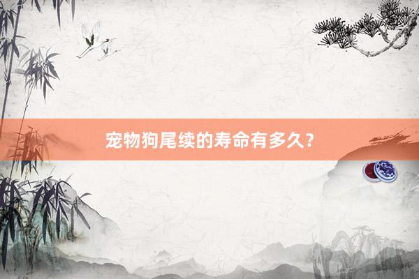 宠物狗尾续的寿命有多久？